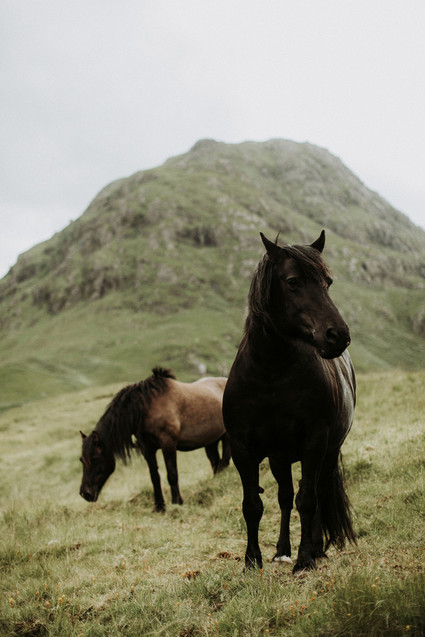 Charming indie Scottish Isle wedding