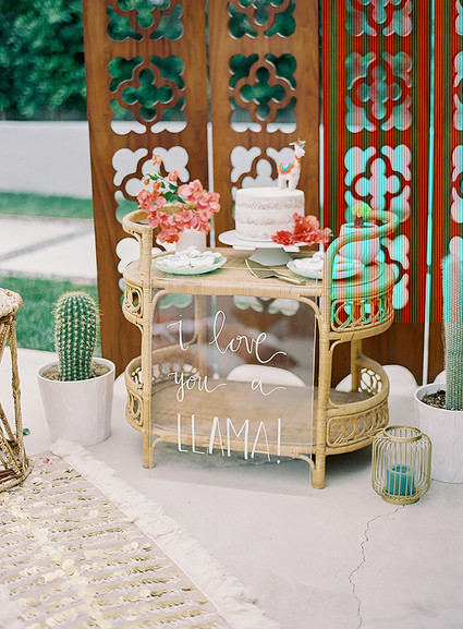 Boho llama baby shower