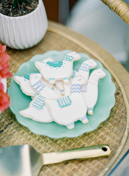 Boho llama baby shower