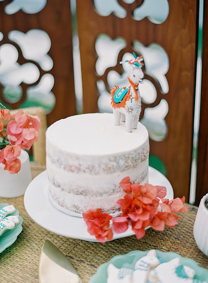 Boho llama baby shower