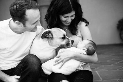 Casual Echo Park newborn photos by Amanda Gallant