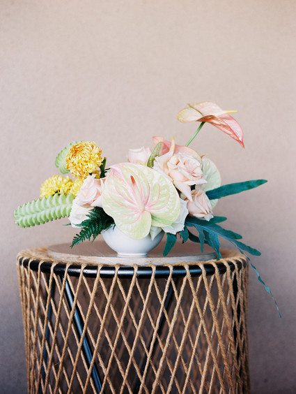 Tropical flowers