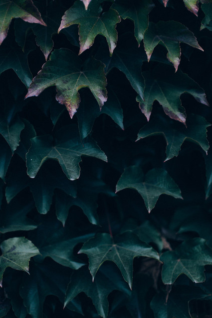 Intimate winter wedding at Chateau de Montplaisant in France