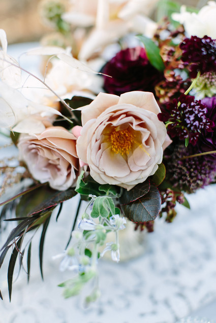 Fall sonoma elopement at Glen Ellen