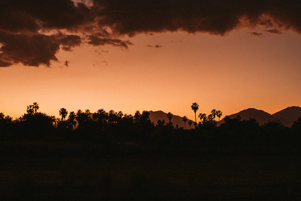 Stylish tropical wedding at Flora Farms in Cabo