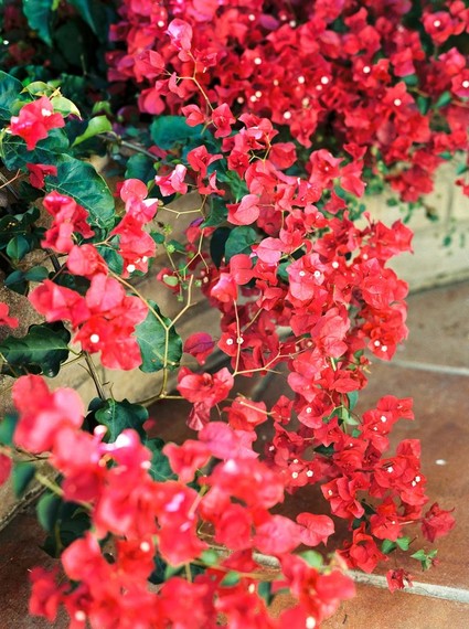 Modern feminine Santa Cruz wedding with boho details