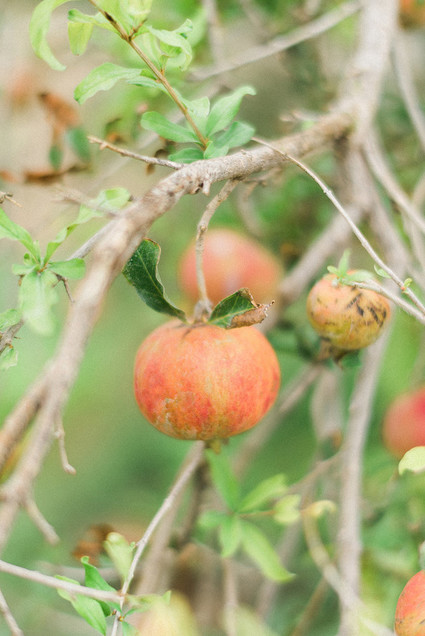 Elopement in an ancient farming village in Portugal