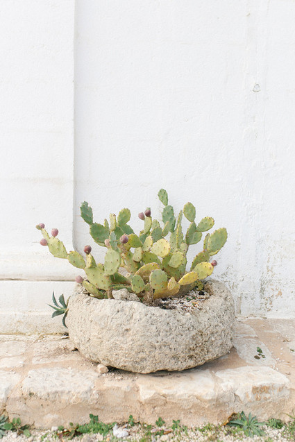 Spring wedding ideas in Apulia