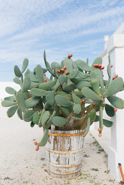 Spring wedding ideas in Apulia