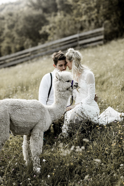 Italian mountain elopement in the Dolomites with alpacas! Inspiration