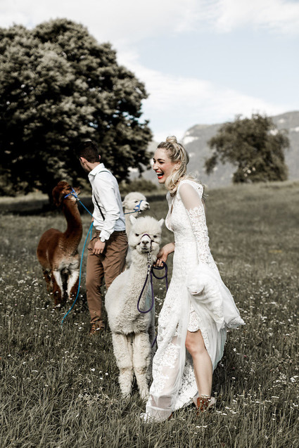 Italian mountain elopement in the Dolomites with alpacas! Inspiration