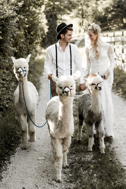 Italian mountain elopement in the Dolomites with alpacas! Inspiration