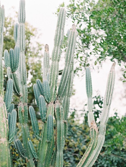 Modern camp themed 1st birthday party