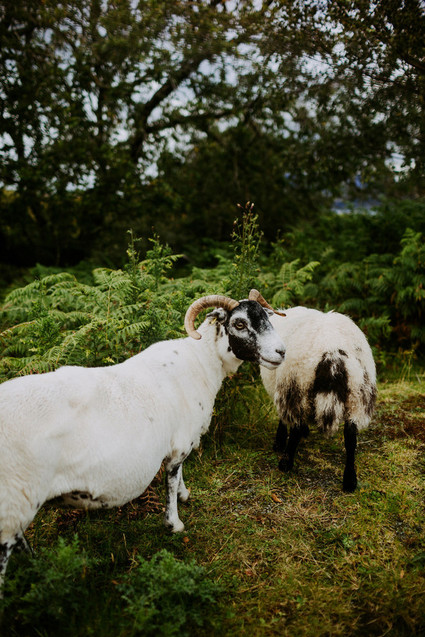 Elopement in the Scottish Highlands on the Isle of Skype Inspiration