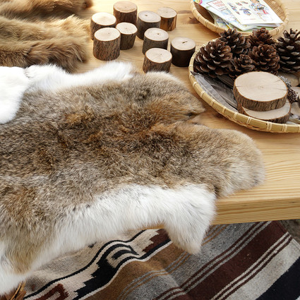 DIY nature-themed 2nd birthday party