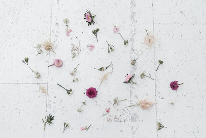 Modern French pink and blush bridal shower