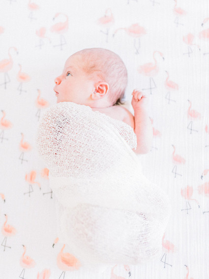 Newborn photos with flamingo swaddle