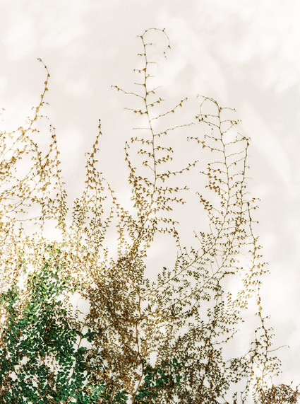 Peachy natural Austin summer wedding ideas at Garden Grove Inspiration