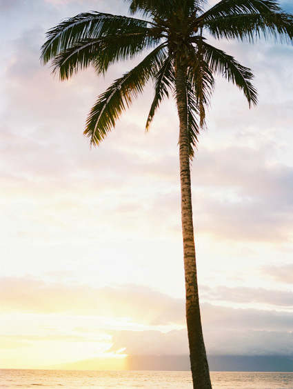 Maui wedding at Olowalu Plantation House