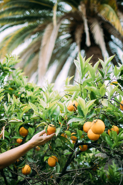 Rancho Valencia Resort and Spa Inspiration