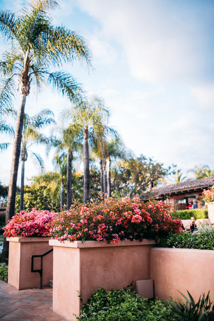 Rancho Valencia Resort and Spa Inspiration