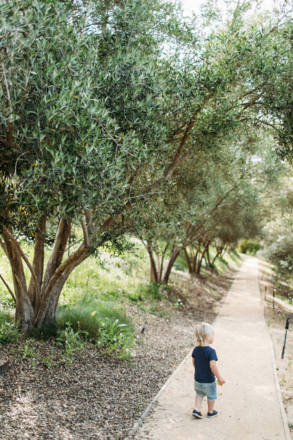 Rancho Valencia Resort and Spa Inspiration