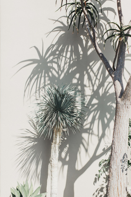 Intimate, elegant backyard wedding in Santa Barbara