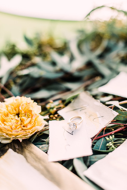 Bird inspired invitations