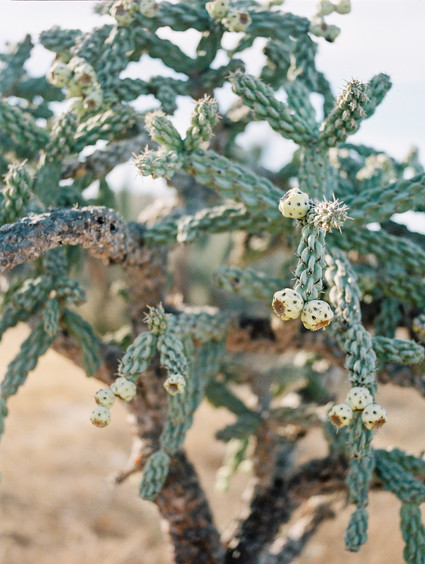 The ultimate itinerary for a honeymoon in Cabo / Hotel San Cristobal