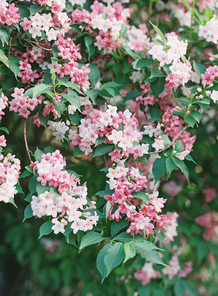 Family photos in the English Countryside by Jen Huang