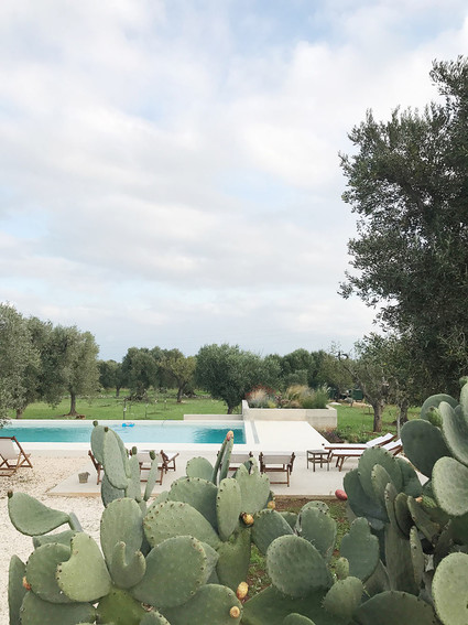 Puglia, Italy Inspiration