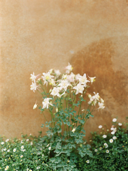 On trend now, a tamarind and pink wedding editorial in Sonoma CA