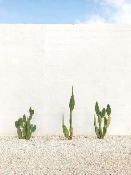 Puglia, Italy Inspiration