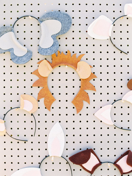 Party like an animal first birthday