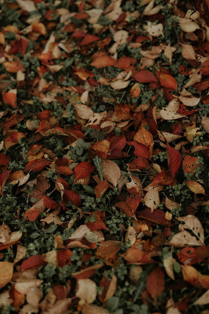 Dramatic candlelight autumn wedding in the French countryside