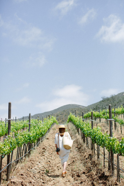 An insider's guide to the Guadalupe Valley in Baja on 100 Layer Cake Inspiration