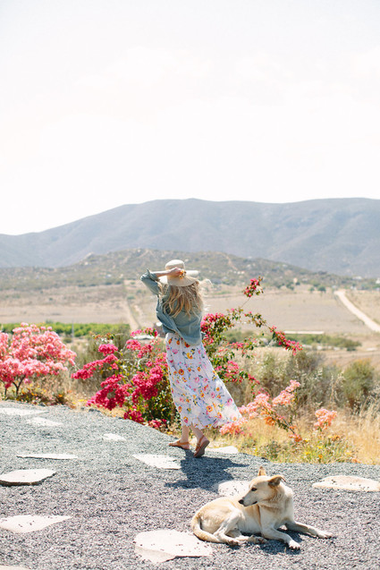 An insider's guide to the Guadalupe Valley in Baja on 100 Layer Cake Inspiration