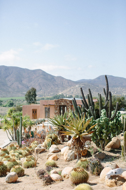 An insider's guide to the Guadalupe Valley in Baja on 100 Layer Cake