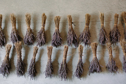 An insider's guide to the Guadalupe Valley in Baja on 100 Layer Cake Inspiration