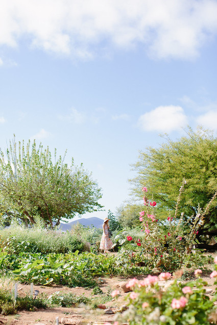 An insider's guide to the Guadalupe Valley in Baja on 100 Layer Cake