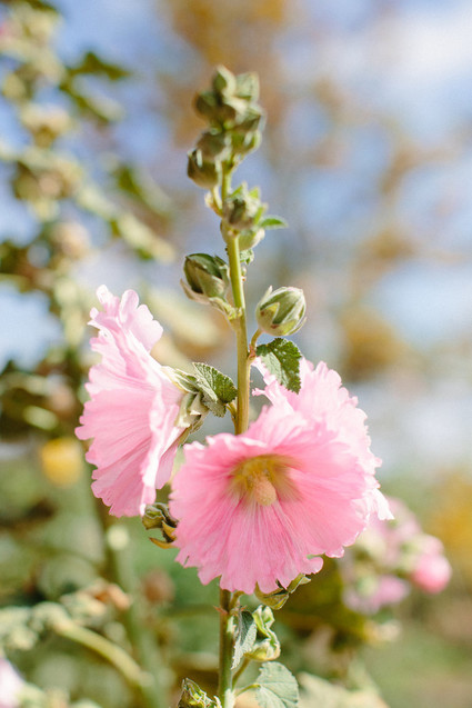 An insider's guide to the Guadalupe Valley in Baja on 100 Layer Cake