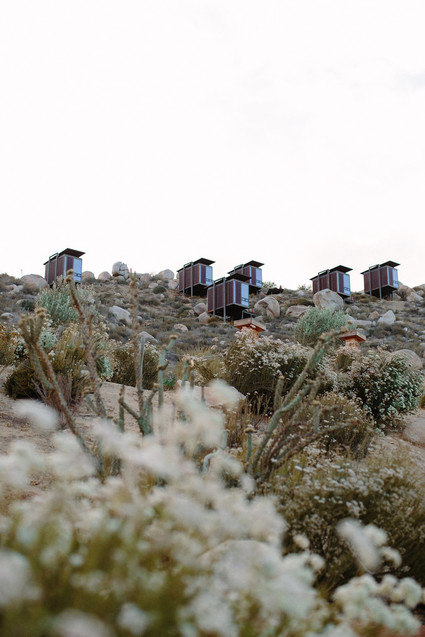 An insider's guide to the Guadalupe Valley in Baja on 100 Layer Cake