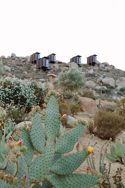 An insider's guide to the Guadalupe Valley in Baja on 100 Layer Cake