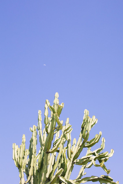 An insider's guide to the Guadalupe Valley in Baja on 100 Layer Cake