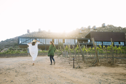 An insider's guide to the Guadalupe Valley in Baja on 100 Layer Cake