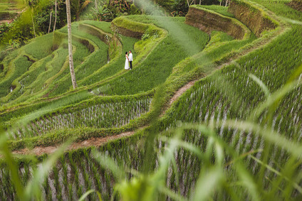 How to elope in Bali under a waterfall Inspiration