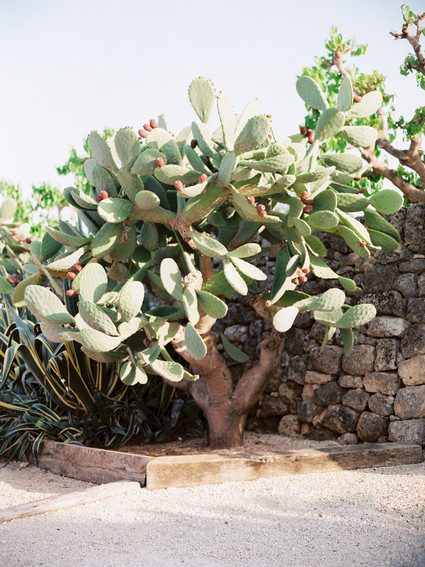 Moon and stars fall wedding Italian-style in Puglia