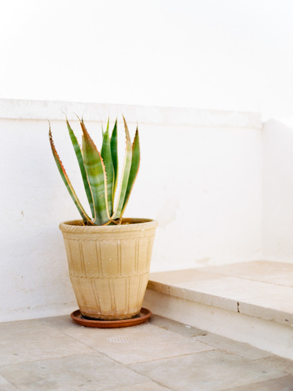 Moon and stars fall wedding Italian-style in Puglia