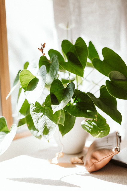 How to style your intimate engagement photos at home