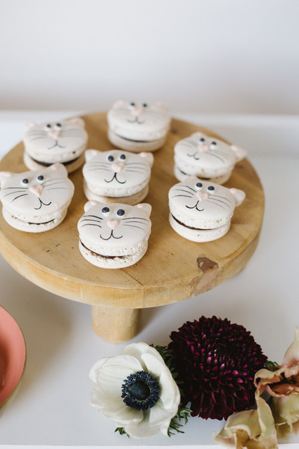 A modern kitty cat party for National Cat Day